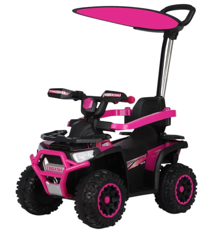 Toddlers Push Car for with Music & Lights, Push Handle Bar, Sunshade Canopy, Safety Bracket  1-5 Years (Pink)