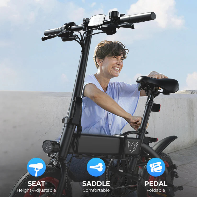 Windhorse C19 Folding E bike