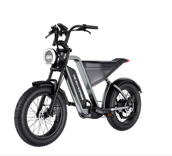WindHorse D3 Fat Tyre All Terrain Electric Bike 48V 18Ah 1000W