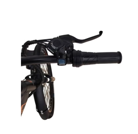 kugoo M101 Electric Bike,36V 13Ah city rider