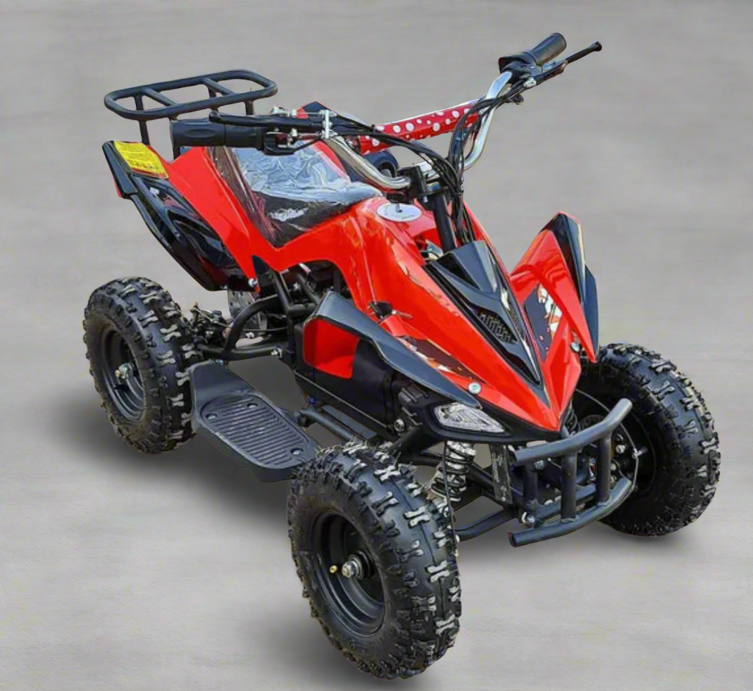 Atv Mini quad Kids Electric Ride on 36V 500W Age 8-14years
