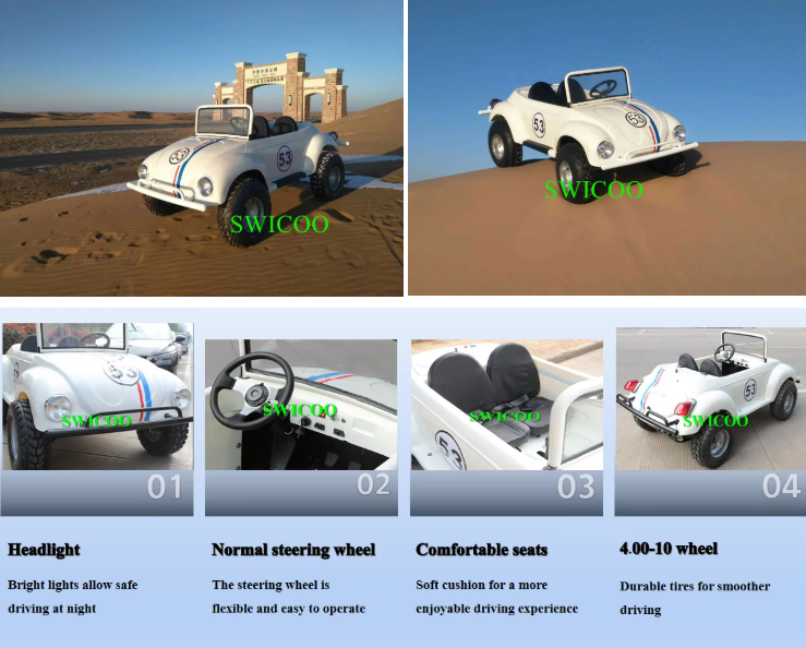Mini Beetle 150CC Petrol Power with 2 Seat Mini Cart For kids Teens Age 8+