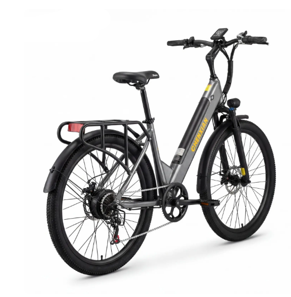 HX200 Stylish Delivery Electric Bicycle Unisex – 500W 48V 13Ah