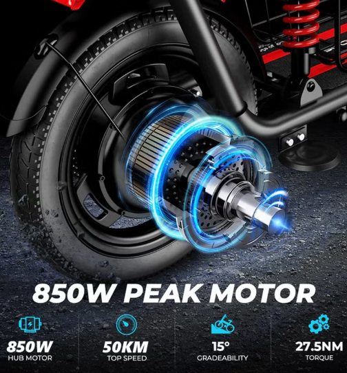 Windhorse C3 Electric Scooter 500W 10Ah