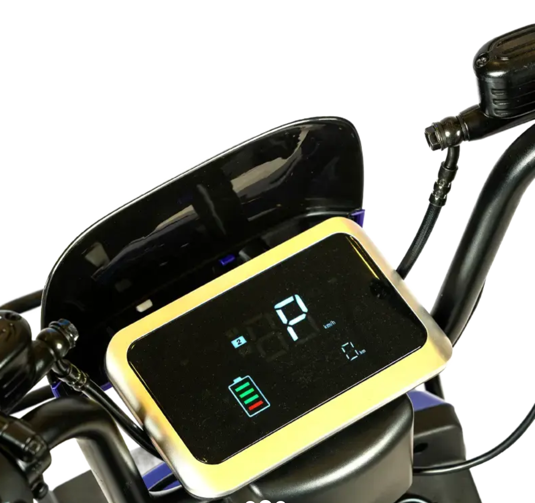 Windhorse M4 Electric Bike 48V 20Ah 1000W
