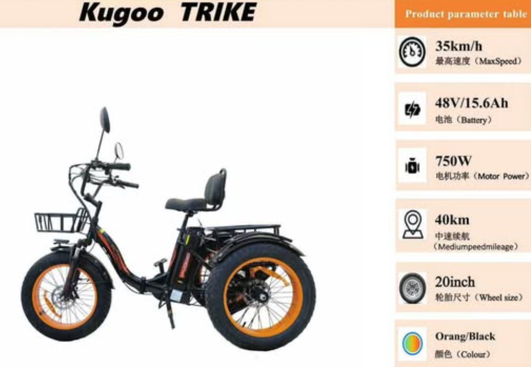 Kugoo Adults Electric Trike 48V 15Ah 750W