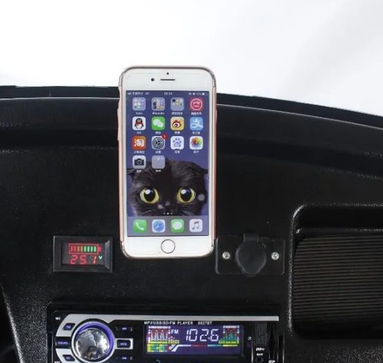 Electric Golf Mobility Scooter