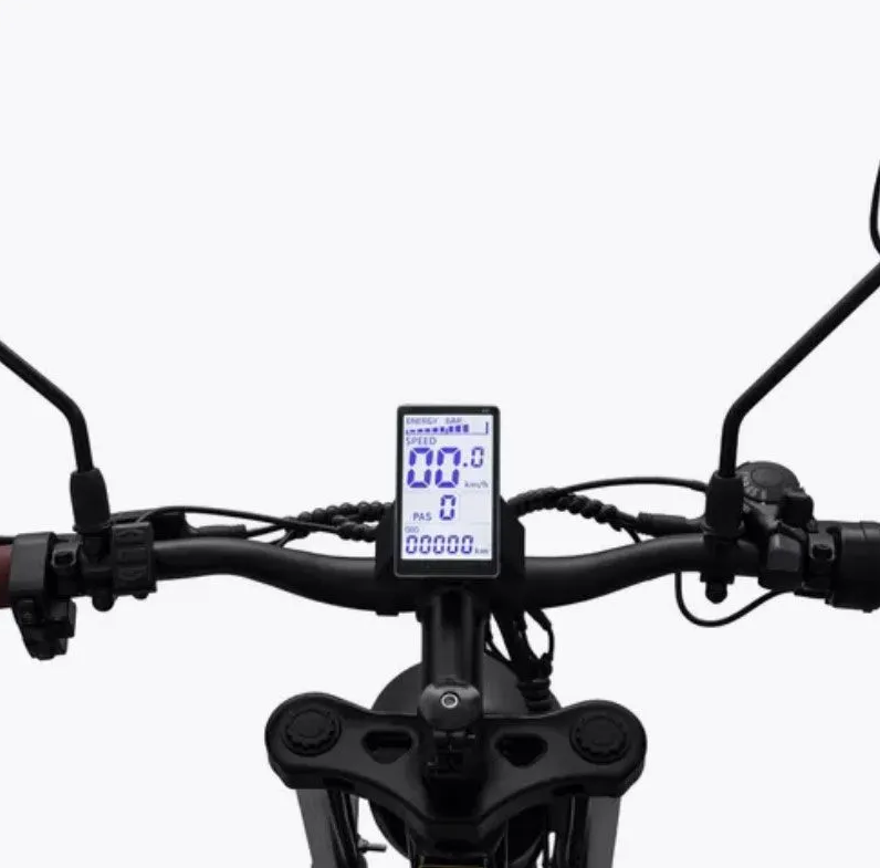 Kugoo V6 Harley Electric Bike 48V 28Ah 1000W Dual