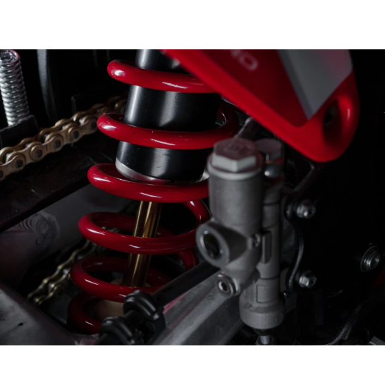 Arctic Leopard EXE 880 Electric Dirt Bike –90V 75Ah 37Kw Pure Off-Road Power Speed 125 km/h & Range 215 km