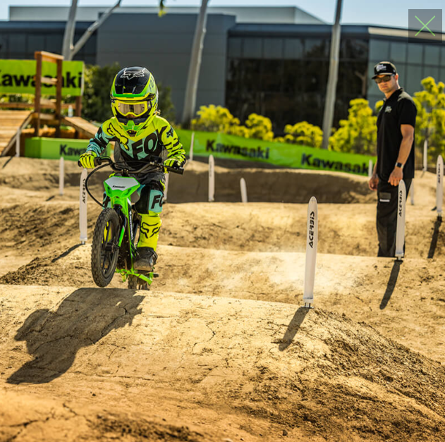 KAWASAKI KIDS -ELEKTRODE® 16 E Bike Age 3-8 Years