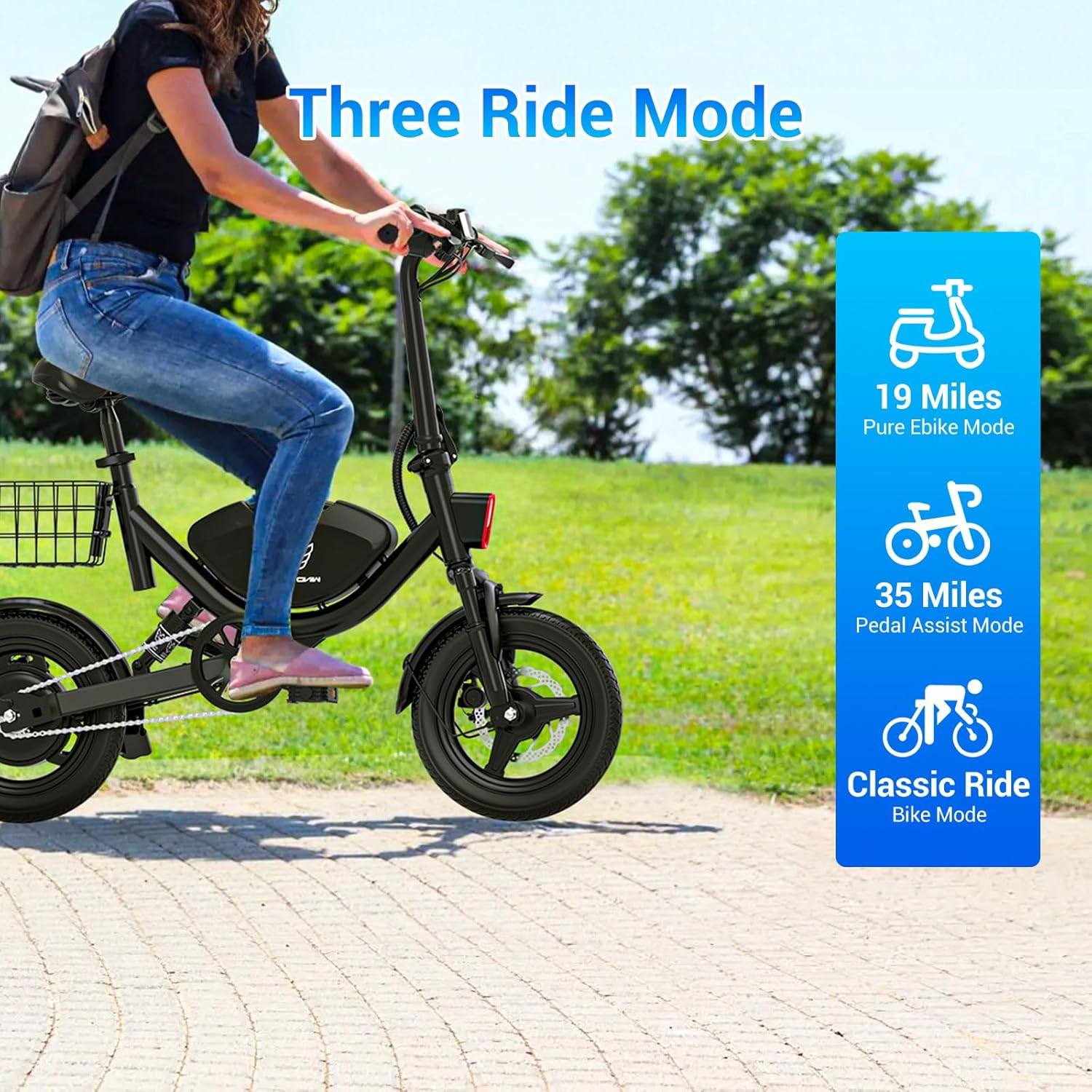 WindHorse W3 Folding Electric Bike