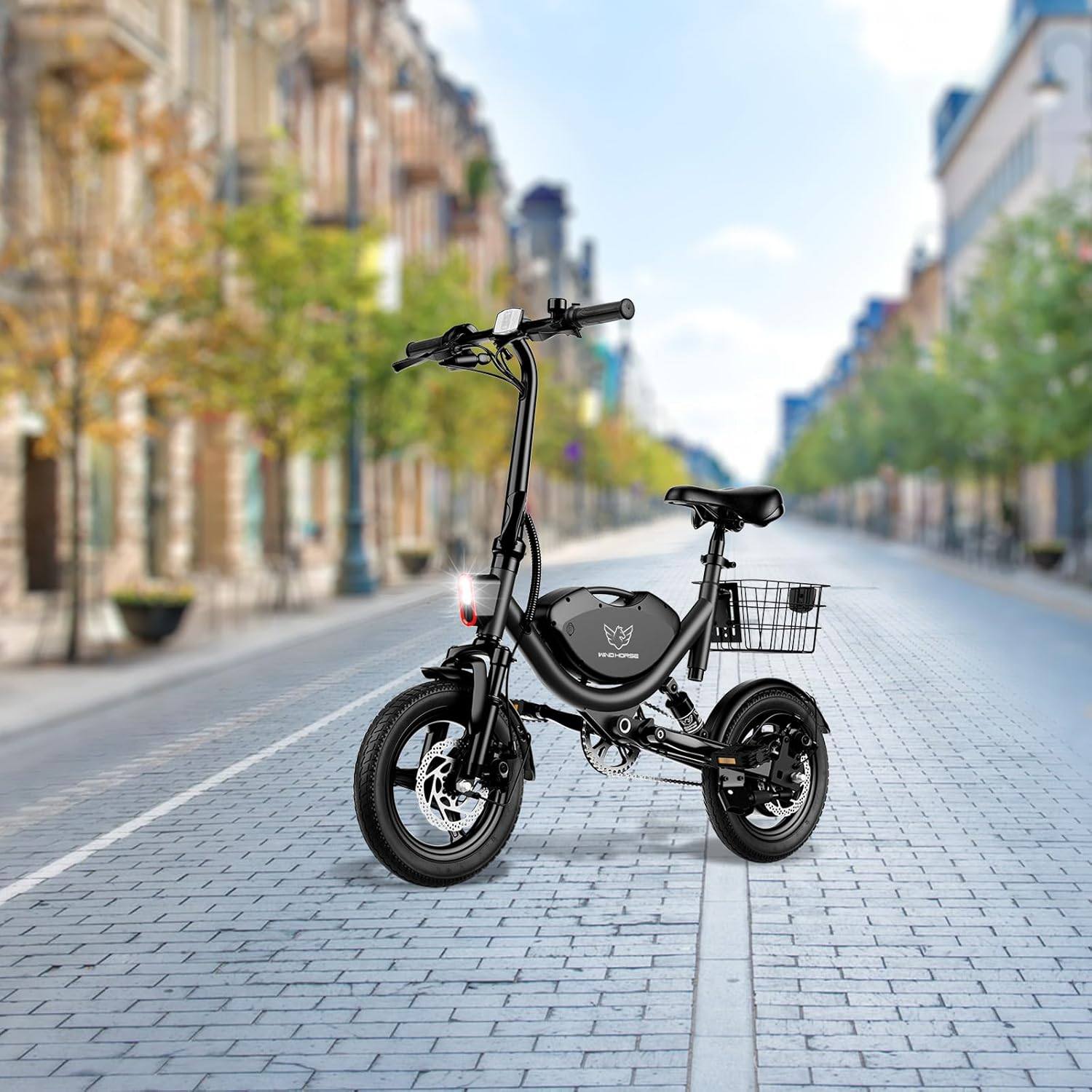 WindHorse W3 Folding Electric Bike