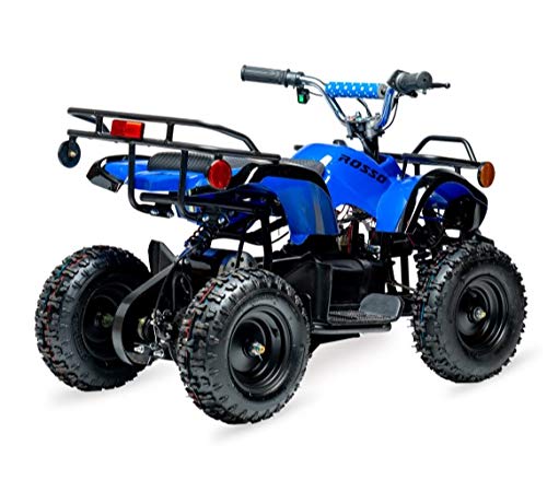 Electric ATV Quad Dirt Beach Bike For Kids Age 6-12