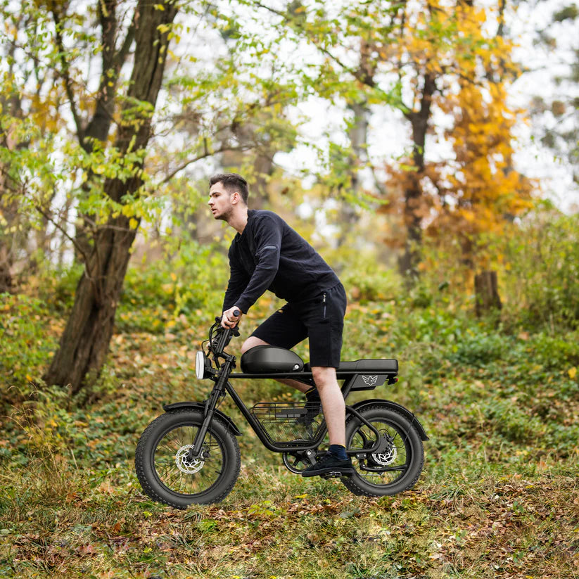 Windhorse D5 Electric Bike 48V 21Ah 1000W Fat Tyre 70Km Range
