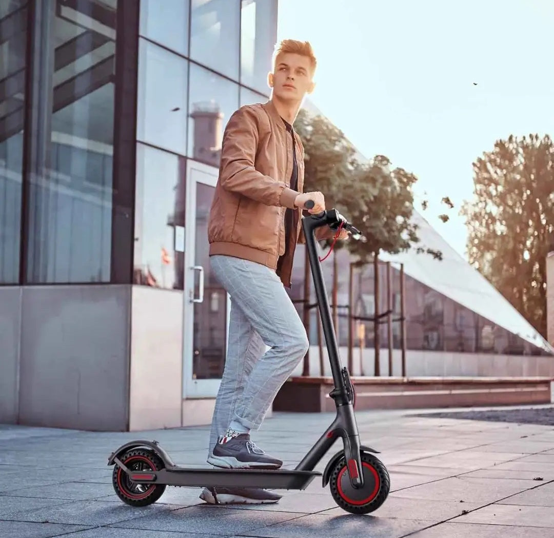 Windhorse T1 Electric Scooter 36V 8Ah 350W