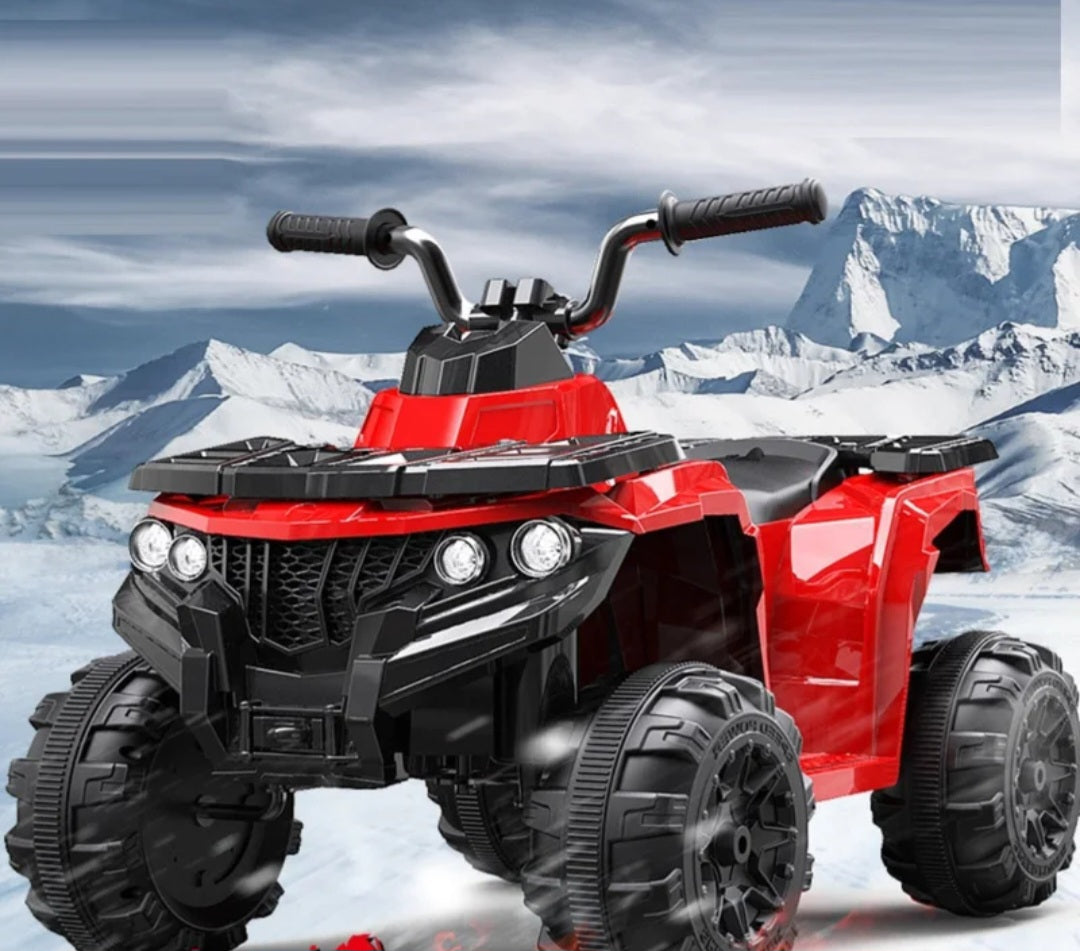 Electric Mini Quad Bike For Young Off Roaders 6V Age 3+