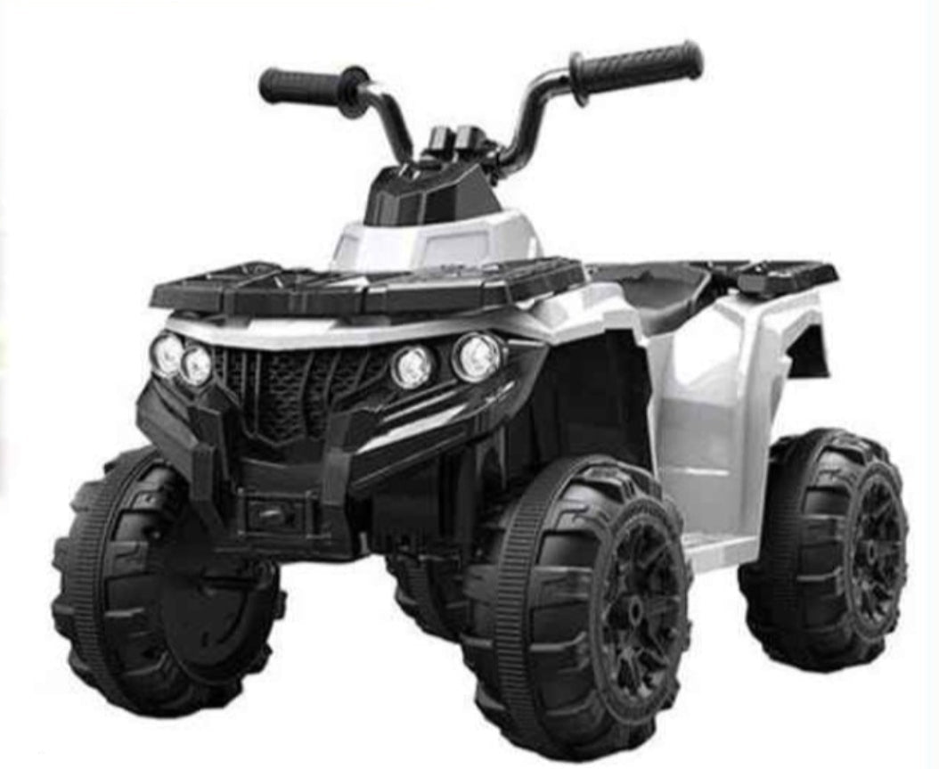 Electric Mini Quad Bike For Young Off Roaders 6V Age 3+