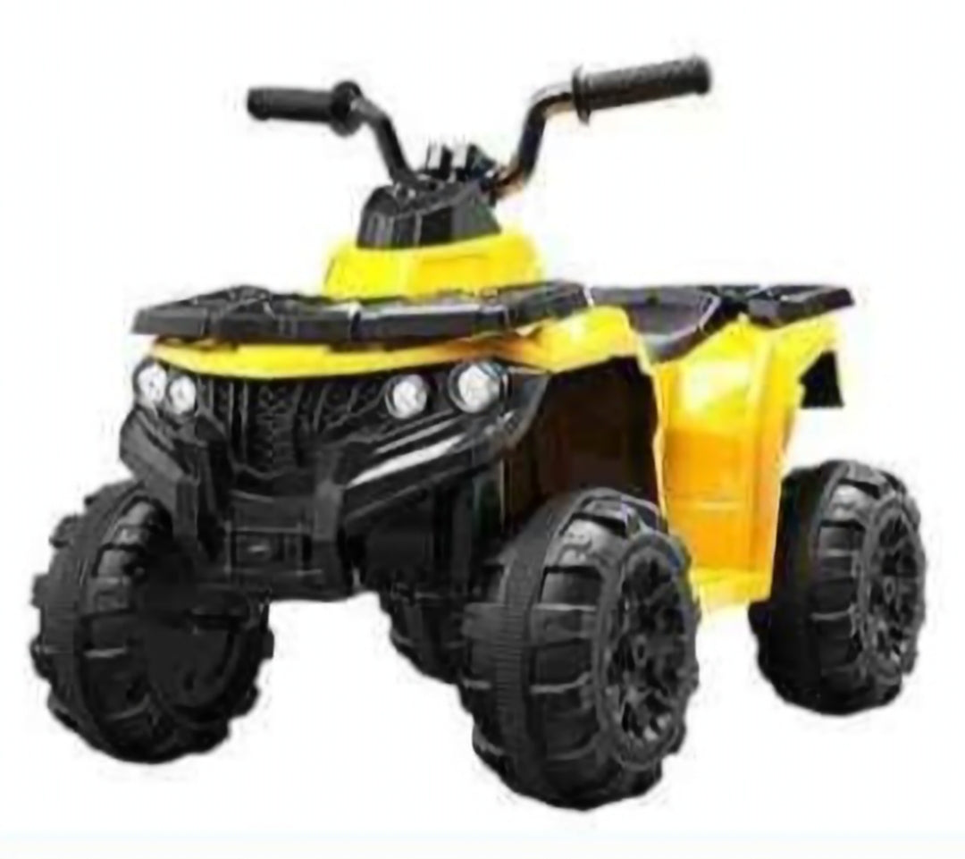 Electric Mini Quad Bike For Young Off Roaders 6V Age 3+