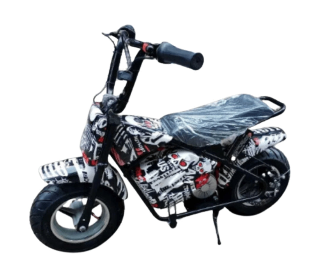 Kids Mini moto Electric Dirt Bike with Stabilizer 250W Age 2-5 Years