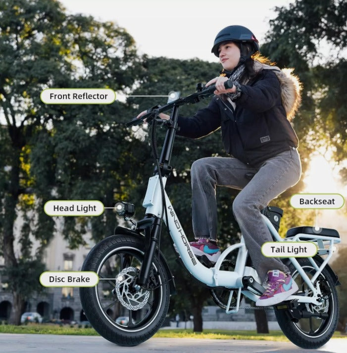 WINDHORSE W2B Electric Bike