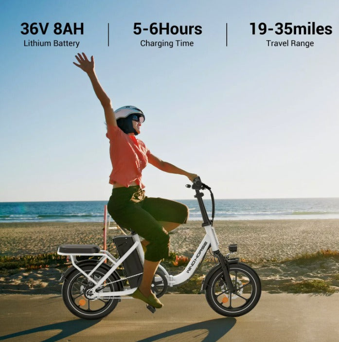 WINDHORSE W2B Electric Bike