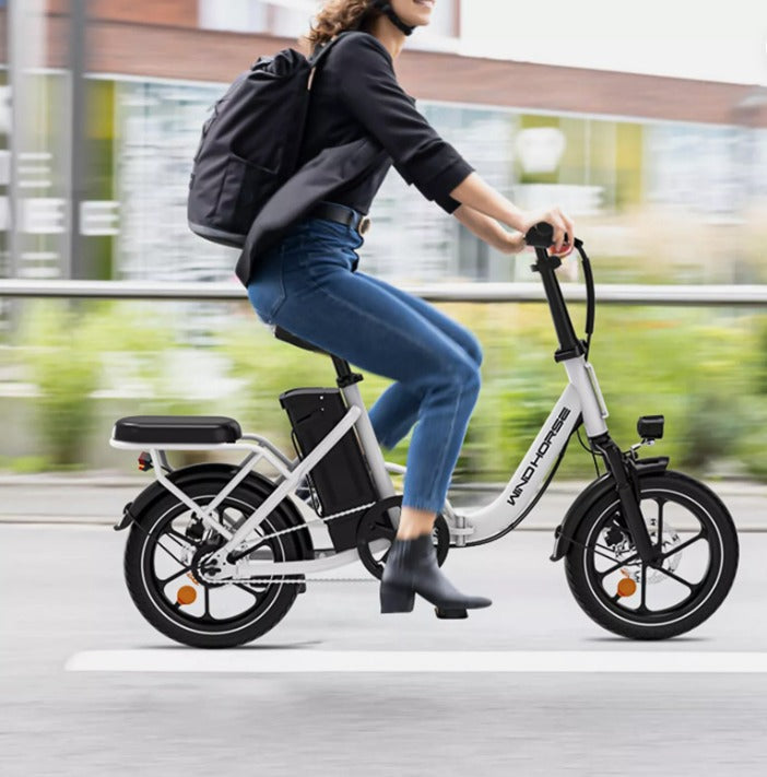 WINDHORSE W2B Electric Bike