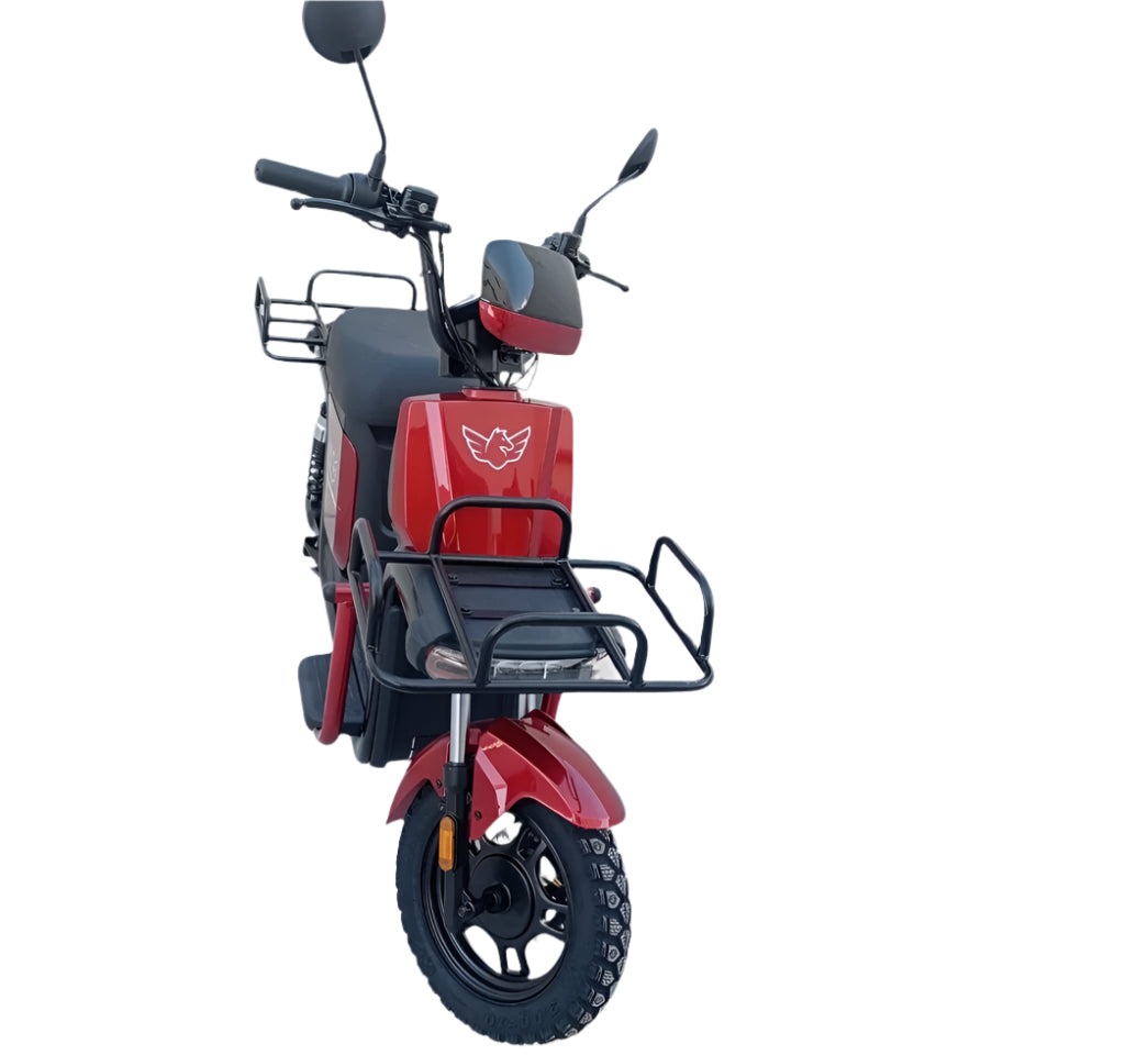 Windhorse M4 Electric Bike 48V 20Ah 1000W