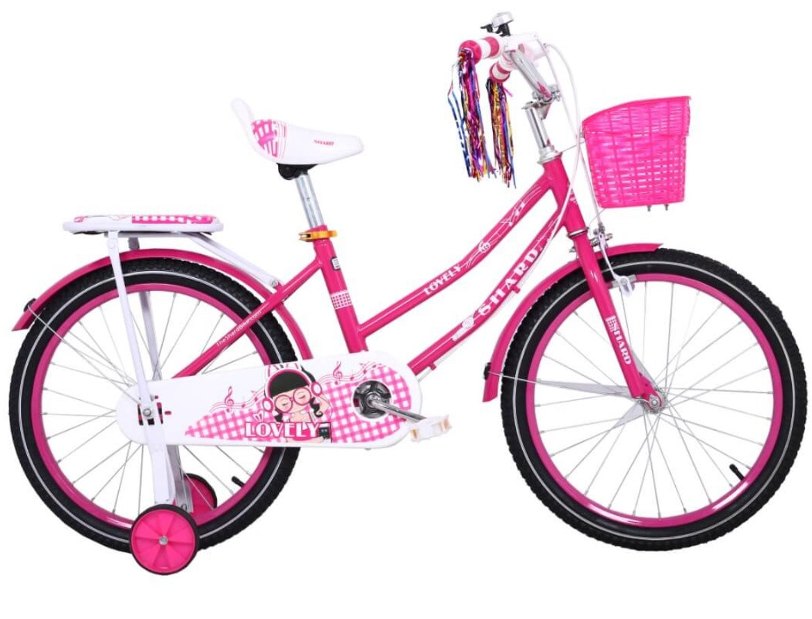 Cute Kid Girls Bicycle With Training Wheels Age 2-10
