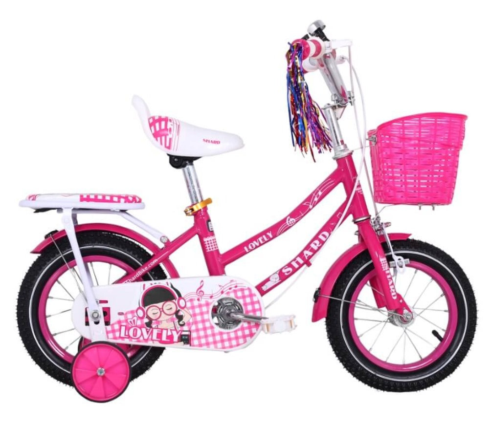 Cute Kid Girls Bicycle With Training Wheels Age 2-10