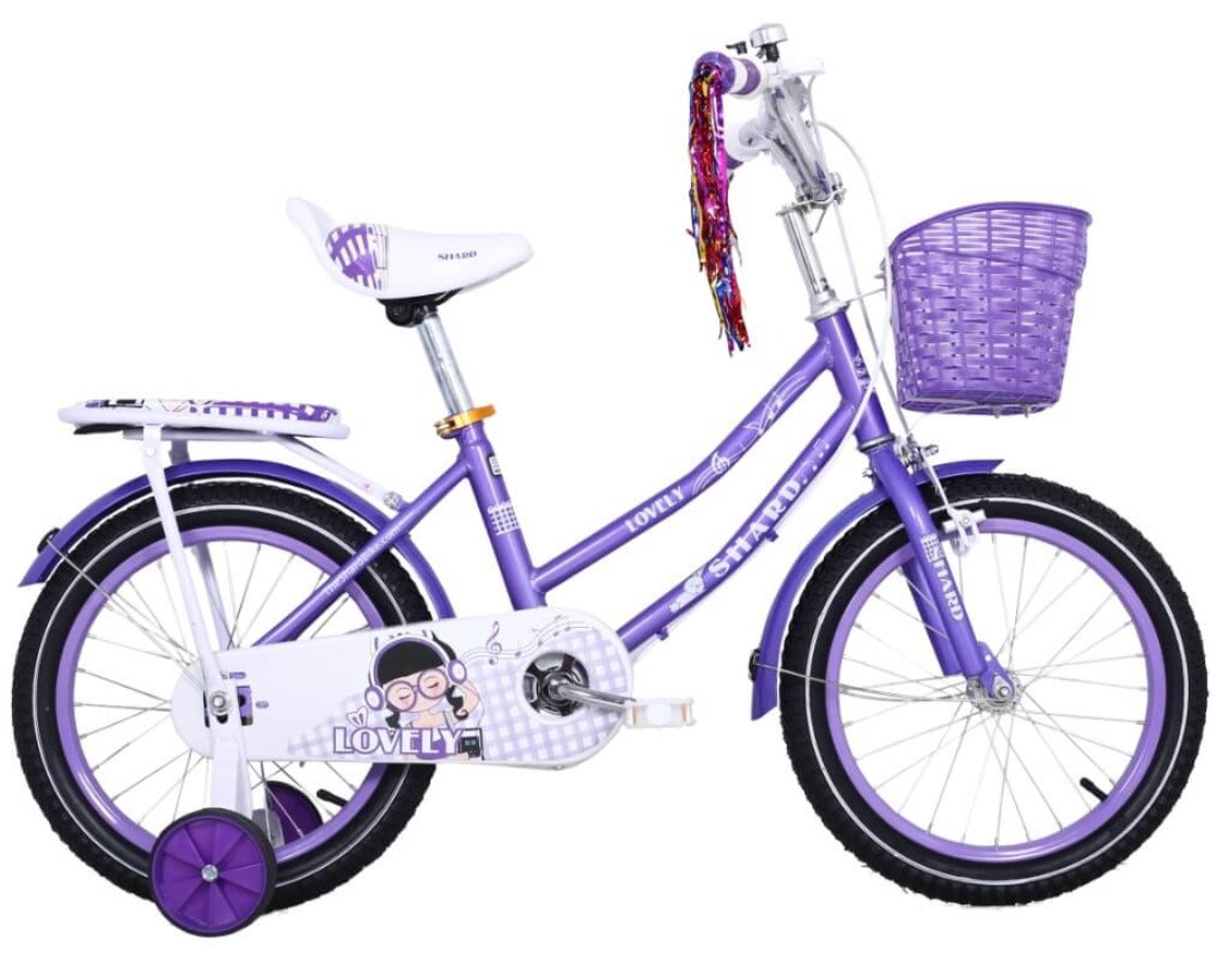 Cute Kid Girls Bicycle With Training Wheels Age 2-10