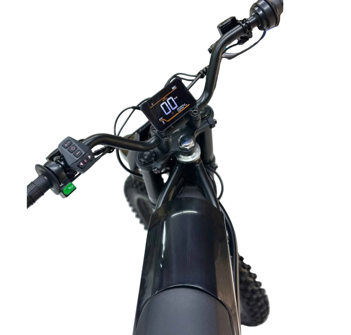 Kugoo Wish 02 Pro 2500W Electric Off-Road Bike