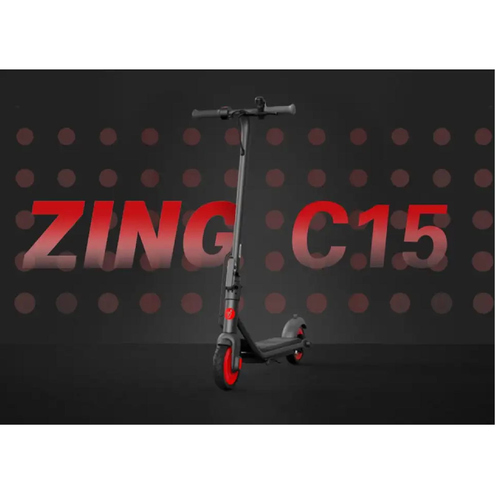 Ninebot Segway ZING C15E KickScooter Age 10+