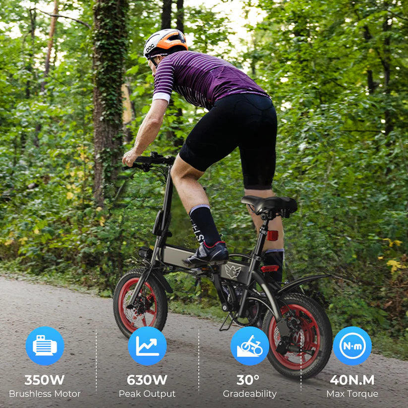 Windhorse C19 Folding E bike