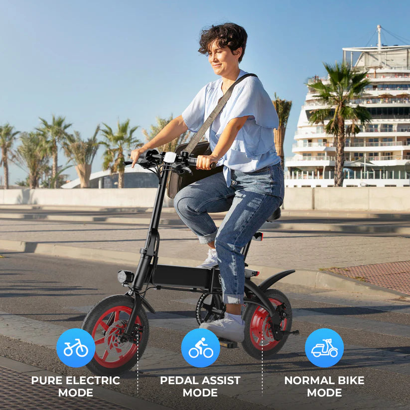 Windhorse C19 Folding E bike