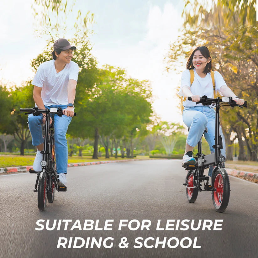 Windhorse C19 Folding E bike