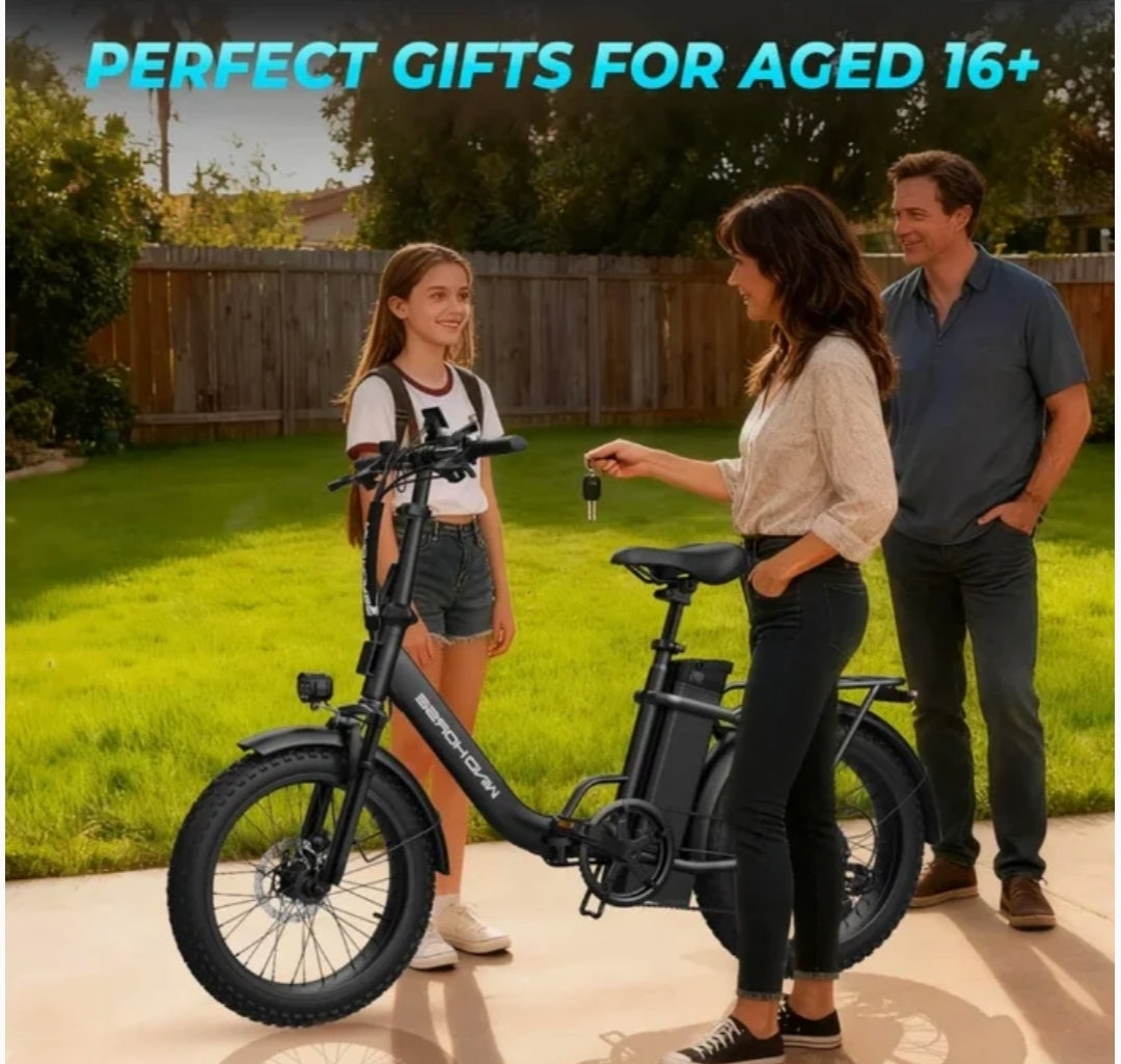 Windhorse W4B Electric Bicycle 48V 15.6Ah 750W