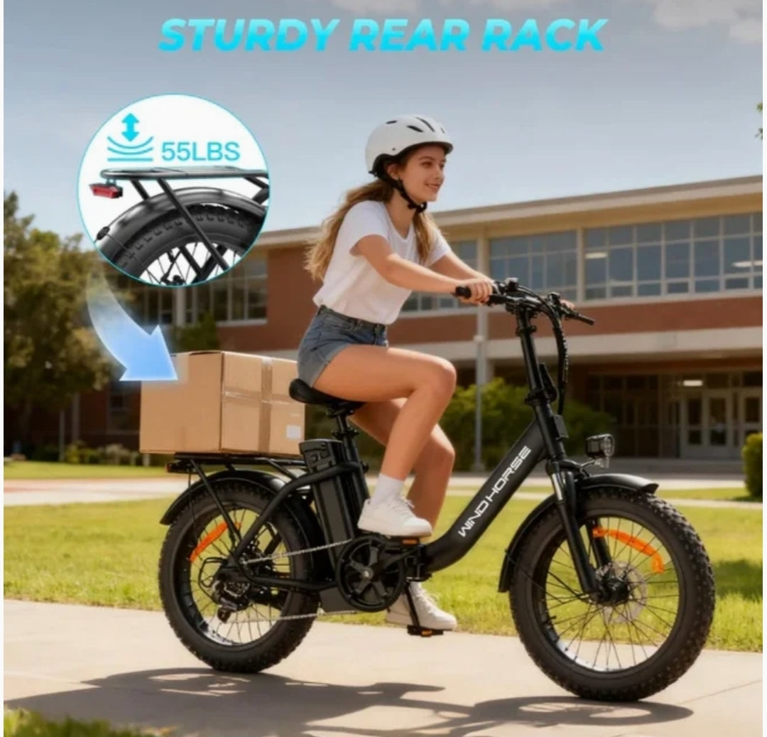 Windhorse W4B Electric Bicycle 48V 15.6Ah 750W