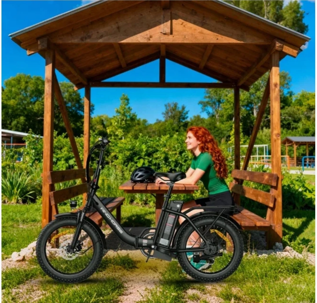 Windhorse W4B Electric Bicycle 48V 15.6Ah 750W